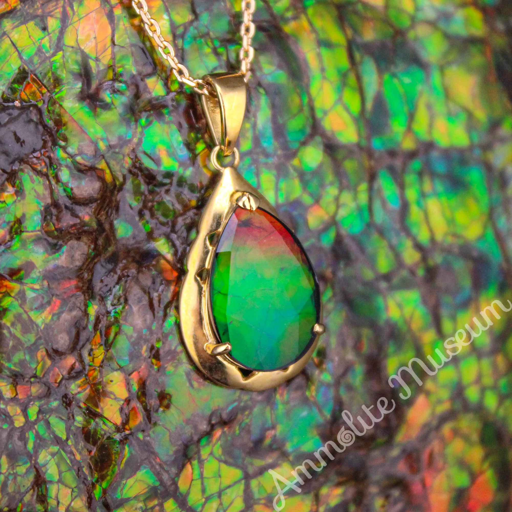 14K Gold Teardrop Ammolite Pendant