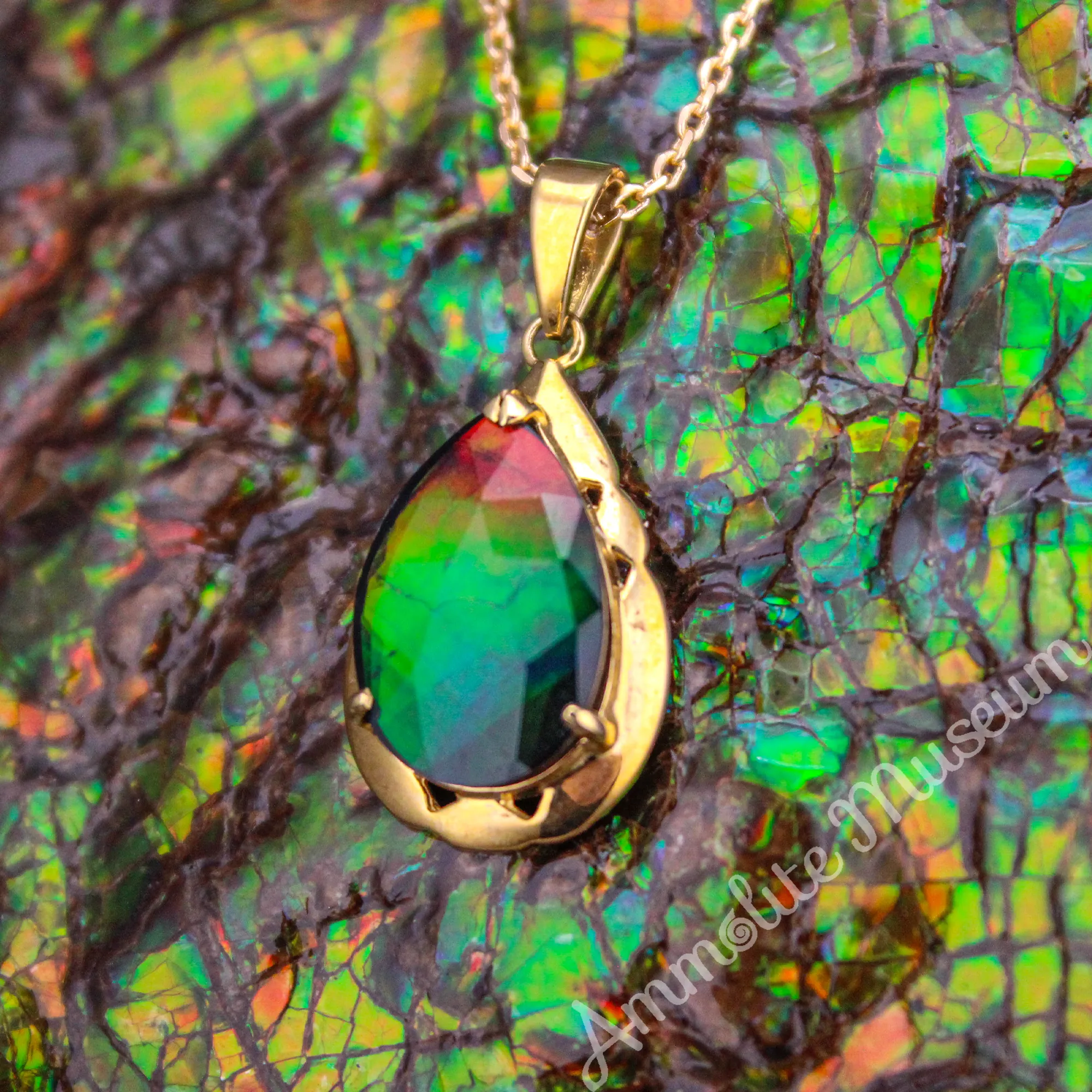 14K Gold Teardrop Ammolite Pendant