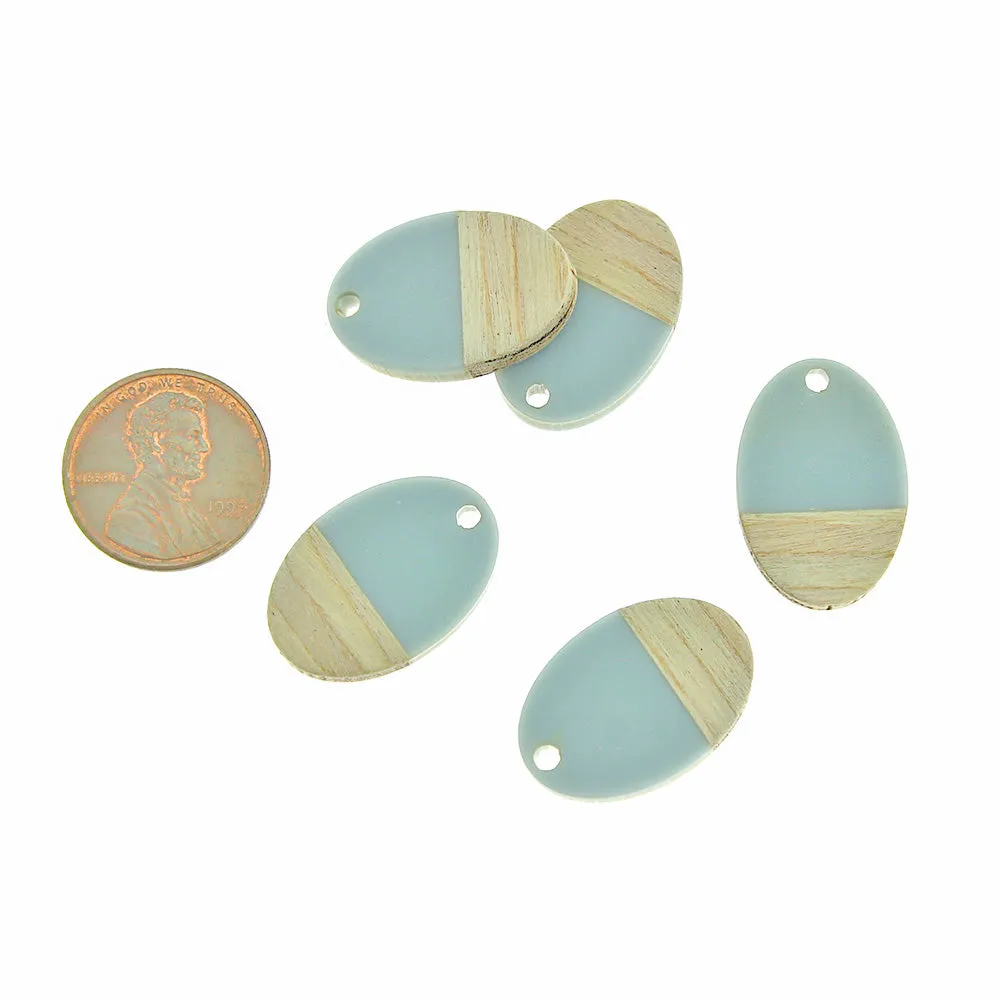 2 Oval Natural Wood and Grey Resin Charms 23mm - WP037