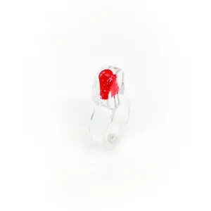 CKT-A-010 | Capacitor
