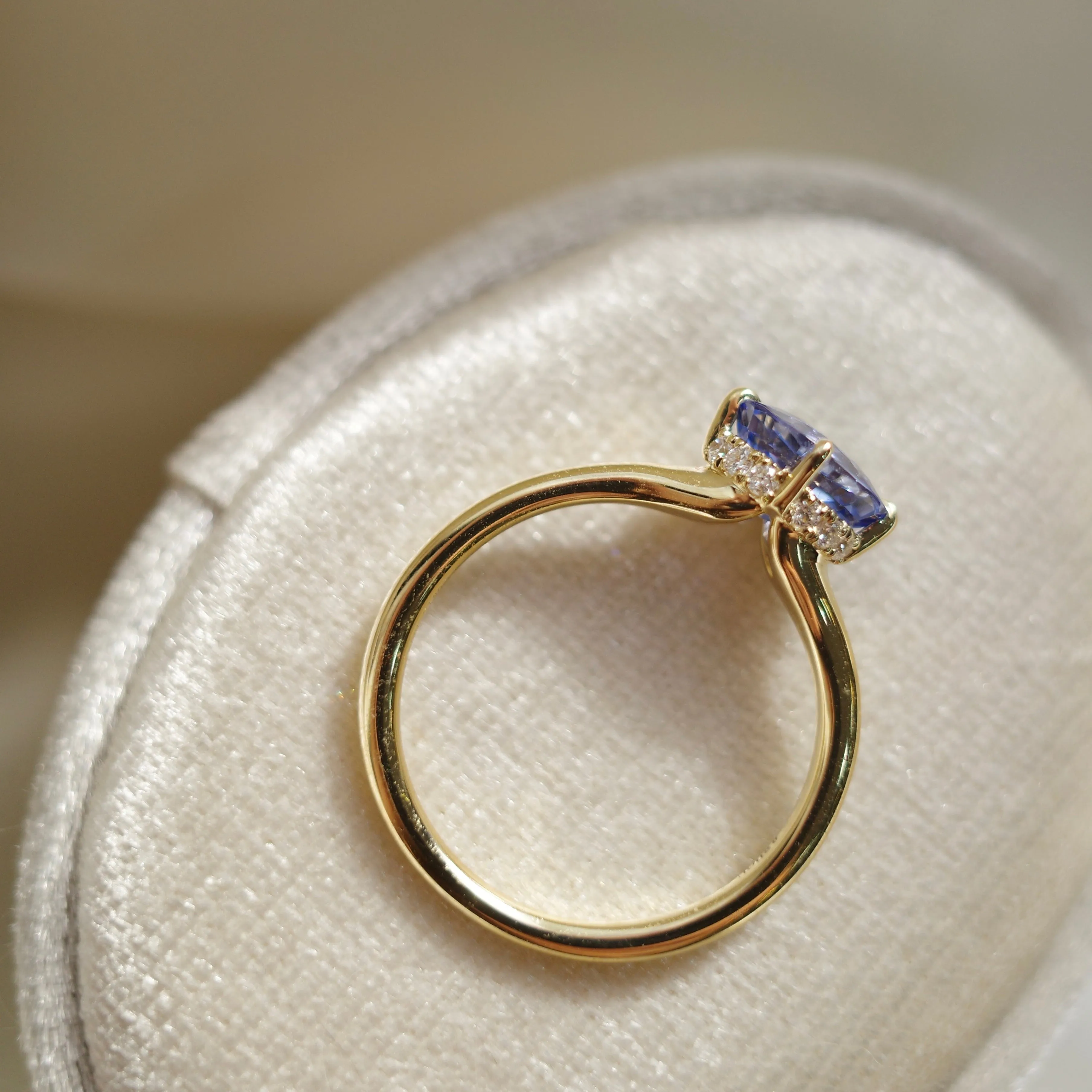 CONTEMPORARY SOUL 2024・14K CHAMPAGNE GOLD SAPPHIRE & DIAMOND RING