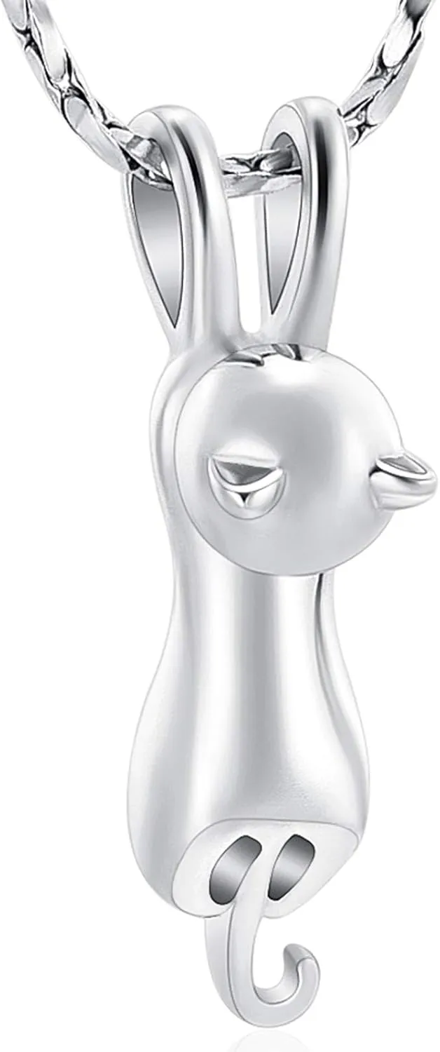 Imrsanl Pet Cremation Jewelry for Ashes Memorial Ash Jewelry Keepsake Cat Urn Pendants for Animal Ashes Necklace