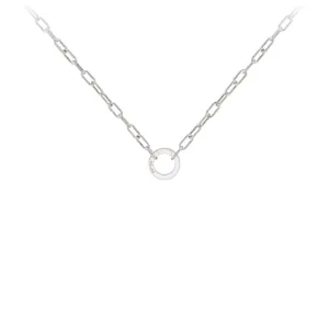 Small 18" Paperclip Chain with Talisman Clip